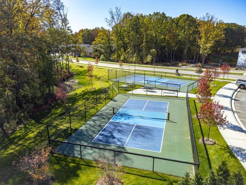 a tennis court on a grass field with trees in the background